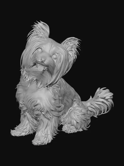 3D model for Yorkshire Terrier, Sitting