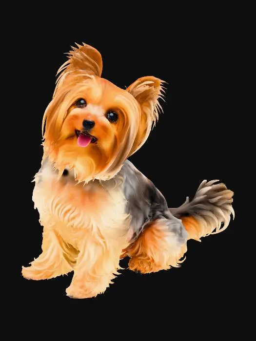 3D model for Yorkshire Terrier, Sitting