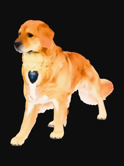 3D model for Golden Retriever