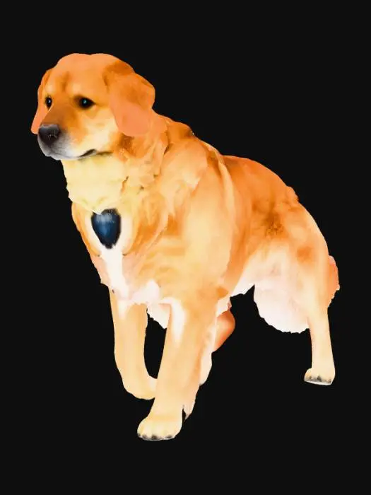 3D model for Golden Retriever