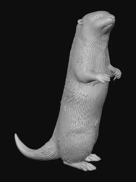 3D model for North American River Otter, Posed