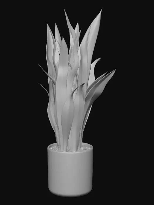 3D model for Snake Plant on Terracotta Planter