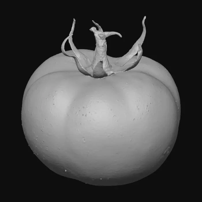 3D model for Hyper-realistic ripe tomato, single whole fruit. Slightly irregular spherical shape with natural lobes, subtle dimples, and a small stem scar. Deep red skin with gentle color variation (orange/red gradients), faint speckling, micro-scratches, tiny blemishes, and a few natural pores. Glossy/waxy highlight with realistic roughness variation; small water droplets and faint condensation. Green calyx/stem attached: curled sepals, fine veins, slight dryness at tips. Add a soft contact shadow on a neutral surface. PBR-ready: clean UVs, hi-res textures, accurate subsurface scattering for flesh, micro-normal for skin pores and calyx veins. Neutral studio lighting, centered asset. Avoid cartoon/low-poly, plastic look, oversaturation, blurry textures, watermarks, hands/props.