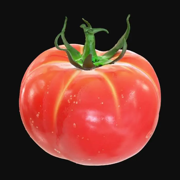 3D model for Hyper-realistic ripe tomato, single whole fruit. Slightly irregular spherical shape with natural lobes, subtle dimples, and a small stem scar. Deep red skin with gentle color variation (orange/red gradients), faint speckling, micro-scratches, tiny blemishes, and a few natural pores. Glossy/waxy highlight with realistic roughness variation; small water droplets and faint condensation. Green calyx/stem attached: curled sepals, fine veins, slight dryness at tips. Add a soft contact shadow on a neutral surface. PBR-ready: clean UVs, hi-res textures, accurate subsurface scattering for flesh, micro-normal for skin pores and calyx veins. Neutral studio lighting, centered asset. Avoid cartoon/low-poly, plastic look, oversaturation, blurry textures, watermarks, hands/props.