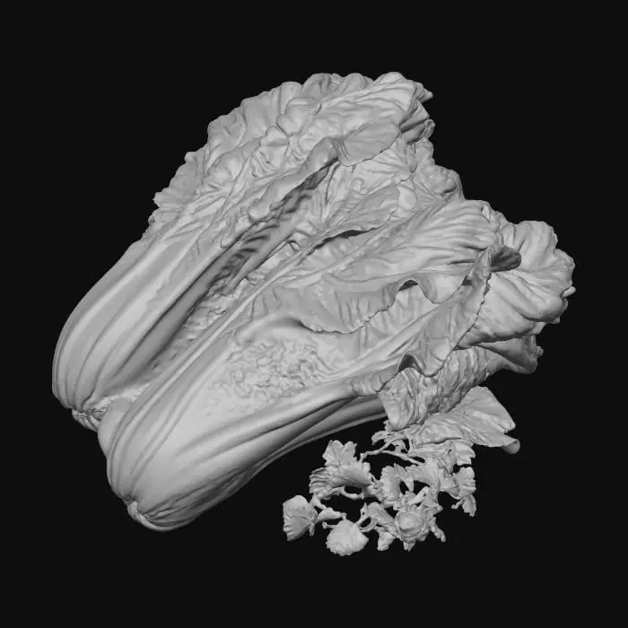 3D model for Hyper-realistic bundle of lettuce (romaine hearts or leaf lettuce), unbranded grocery produce. Several heads/bunches stacked together with natural overlap and compression, stems aligned, outer leaves slightly splayed. Leaf detail: crisp veining, rib thickness variation, curled edges, tiny tears, bruising specks, minor dirt near base, water droplets and fresh sheen, subtle translucency at thin edges. Color: gradient from pale green ribs to deeper green tips. Optional produce band: simple paper strip or rubber band holding stems (no logos), slightly wrinkled. Add a few loose leaves nearby for realism. PBR-ready: clean UVs, hi-res textures, subsurface scattering for leaves, micro-normal for veins and wrinkles, accurate roughness variation (waxy highlights). Neutral studio lighting, centered a