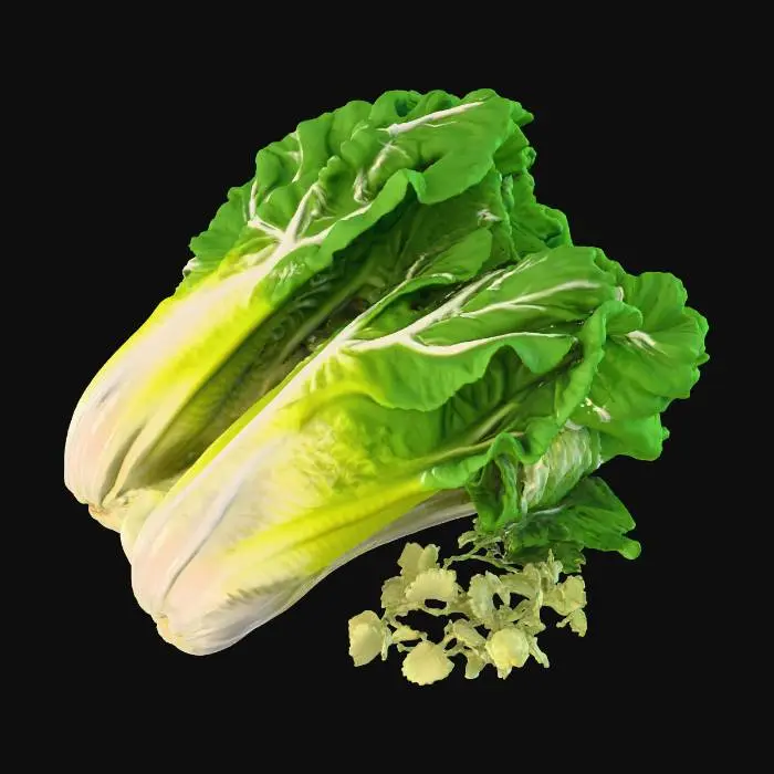 3D model for Hyper-realistic bundle of lettuce (romaine hearts or leaf lettuce), unbranded grocery produce. Several heads/bunches stacked together with natural overlap and compression, stems aligned, outer leaves slightly splayed. Leaf detail: crisp veining, rib thickness variation, curled edges, tiny tears, bruising specks, minor dirt near base, water droplets and fresh sheen, subtle translucency at thin edges. Color: gradient from pale green ribs to deeper green tips. Optional produce band: simple paper strip or rubber band holding stems (no logos), slightly wrinkled. Add a few loose leaves nearby for realism. PBR-ready: clean UVs, hi-res textures, subsurface scattering for leaves, micro-normal for veins and wrinkles, accurate roughness variation (waxy highlights). Neutral studio lighting, centered a