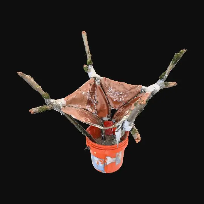 3D model for Improvised Water Filter System