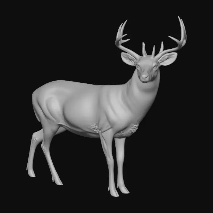 3D model for American Whitetail Deer