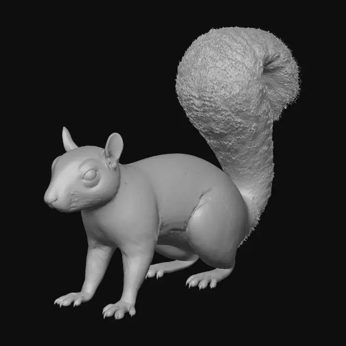 3D model for American Squirrel