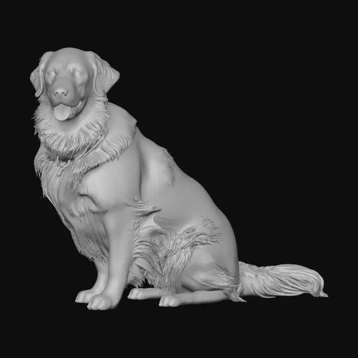 3D model for Golden Retriever, Sitting