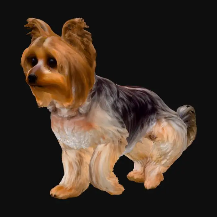 3D model for Yorkshire Terrier