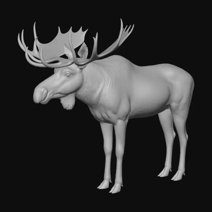 3D model for American Moose