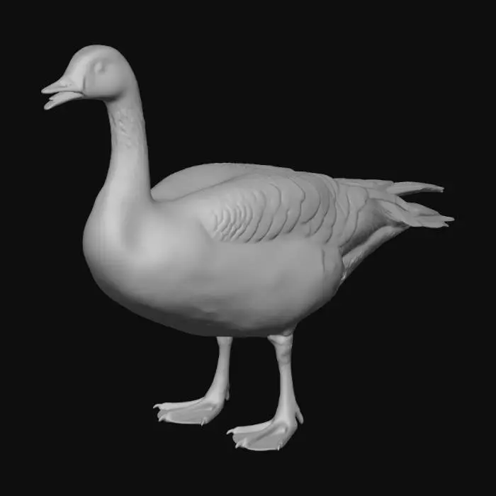 3D model for Canada Goose