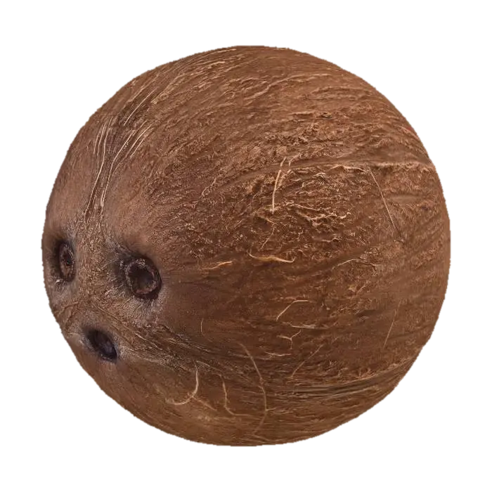 Coconut with rough husk 3D model, vytvořený pomocí AI