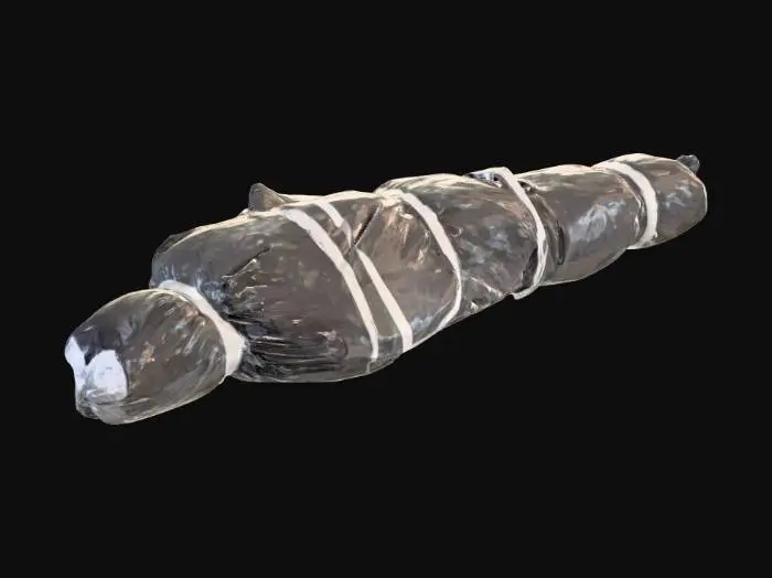 3D model for Bagged Figure