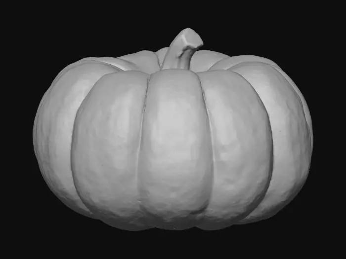 3D model for balkabağı