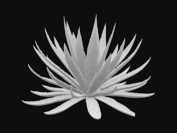 3D model for Desert Bloom