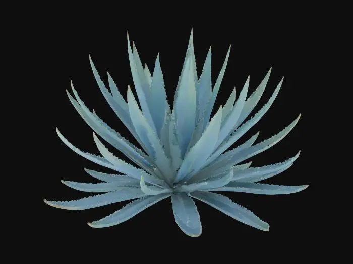 3D model for Desert Bloom