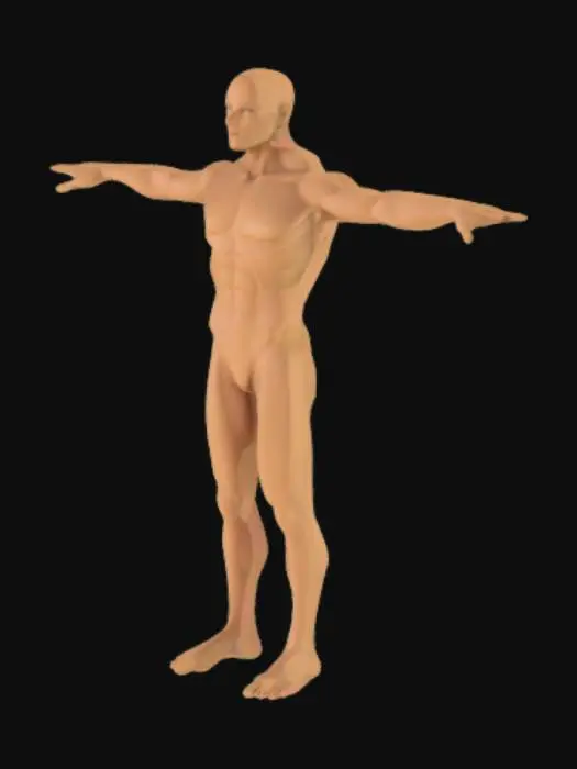 3D model for A humanoid figure base template