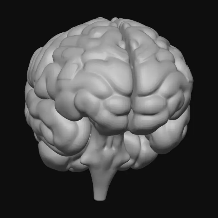 3D model for Neon Cortex