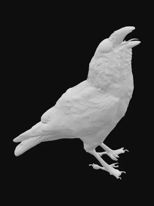 3D model for Echoing Raven