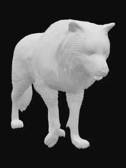 3D model for Lone Sentinel