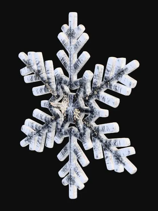 3D model for Snowflake_1