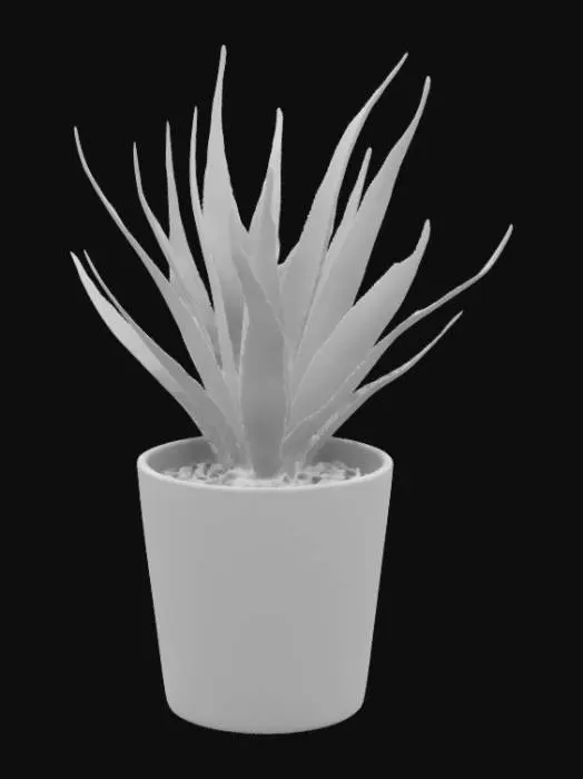 3D model for Aloe in a Pot