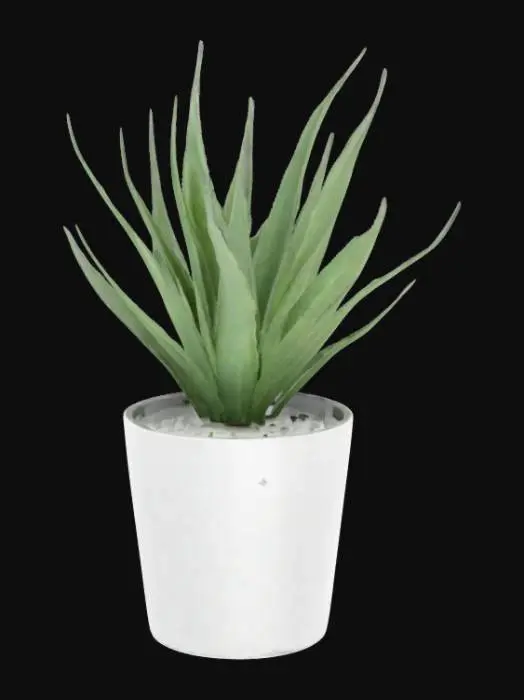 3D model for Aloe in a Pot
