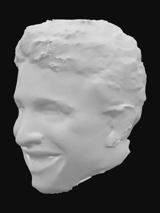 3D model for Happy Grin
