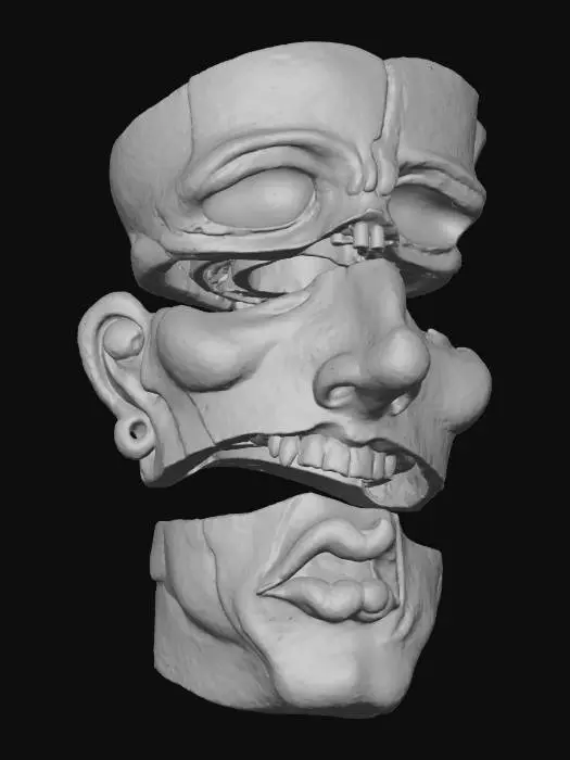 3D model for Fragmented Visage