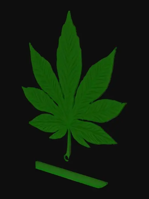 3D model for 3d logo, Cannabisblatt, Rauchschwaden, DrGreeen81 als name