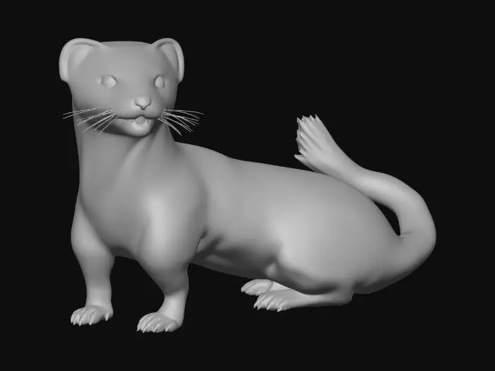 3D model for hermelin