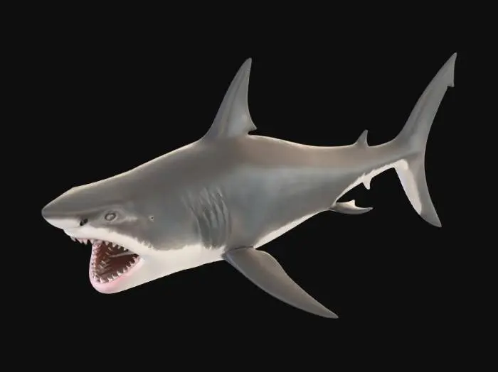3D model for Jaws of the Deep