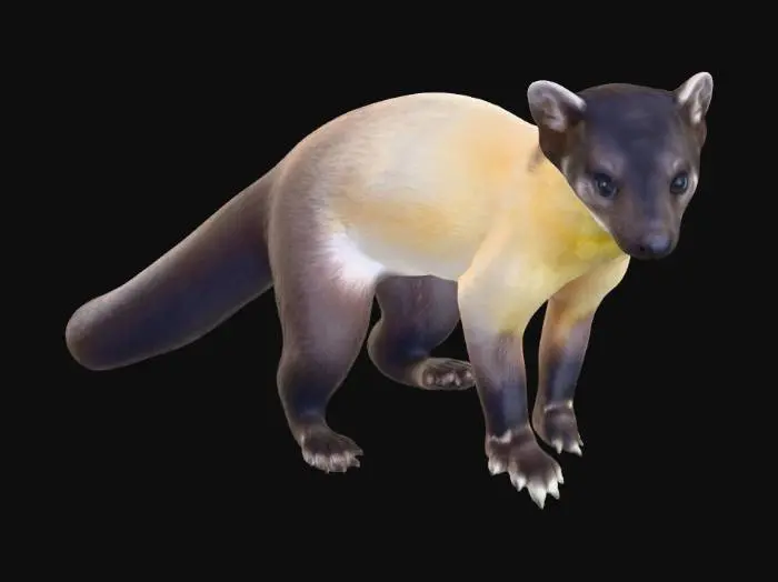 3D model for Yellow Mongoose on a Log