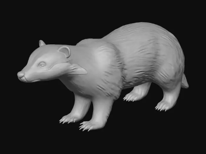 3D model for Dachs