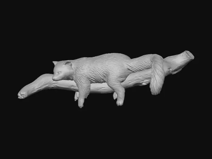 3D model for Red Panda Resting on a Snowy Branch