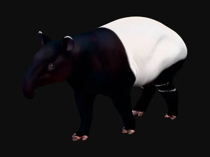 3D model for Two-Toned Tapir