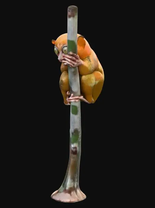 3D model for Big-Eyed Climber