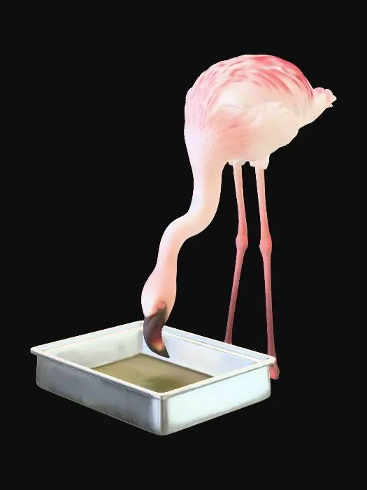 3D model for Flamingo at the trough