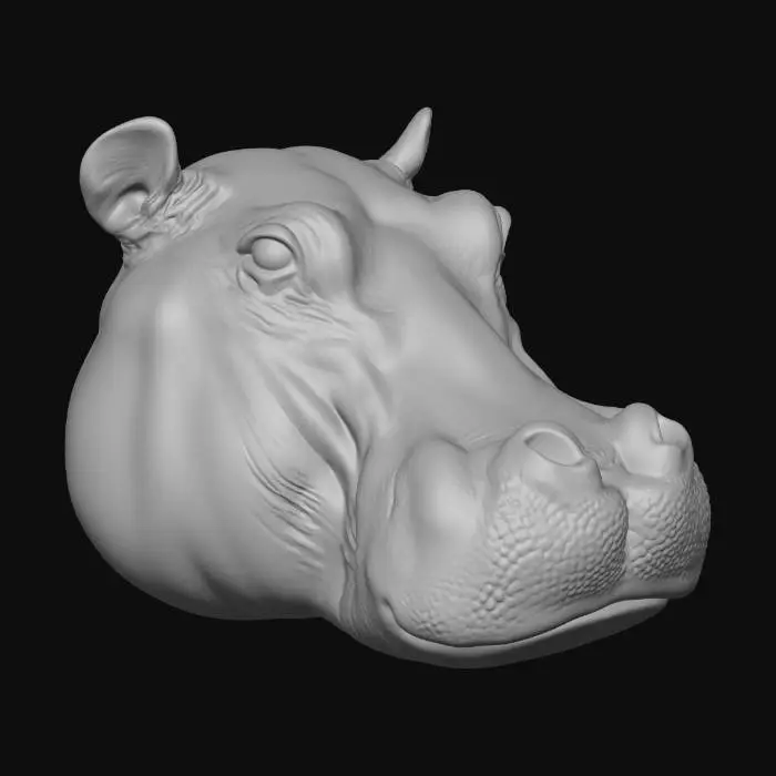 3D model for Hippo Peek