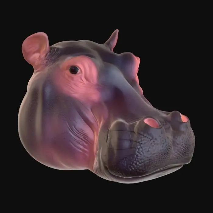 3D model for Hippo Peek