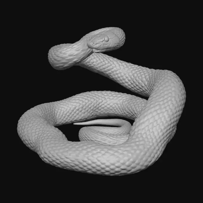 3D model for mamba