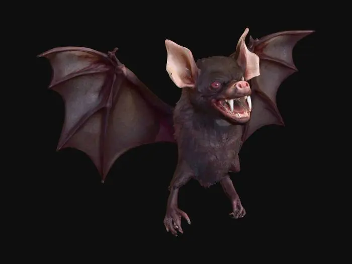 3D model for A vampire bat but it has no wings. very ill tempered.