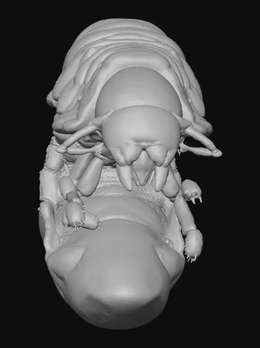 3D model for Grub in soil, puss filled, gross, giant grub, 4k, fine details,