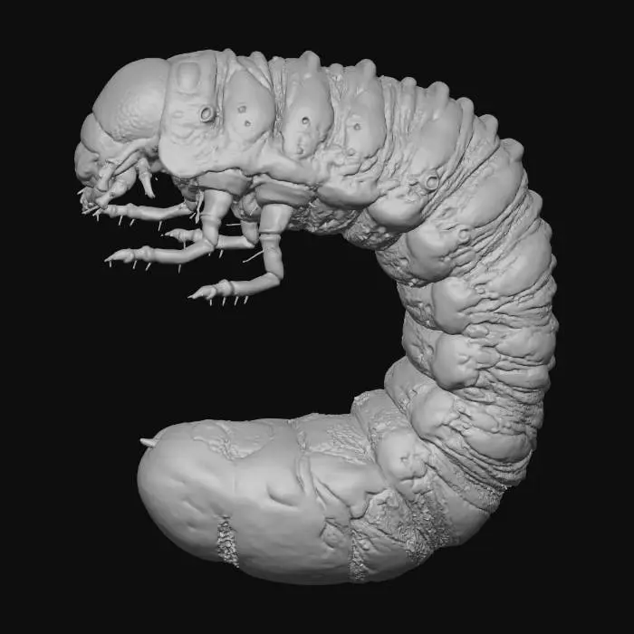 3D model for Larva Close-Up, puss filled, gross, giant grub, 4k, fine details,