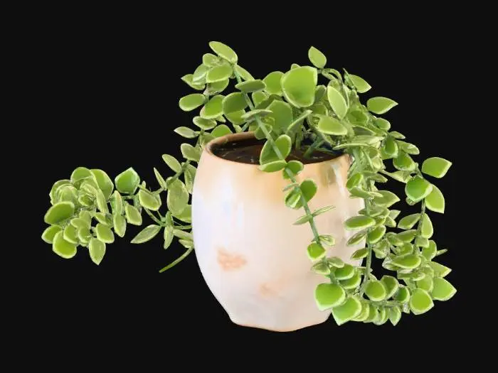 3D model for Cascading Greenery