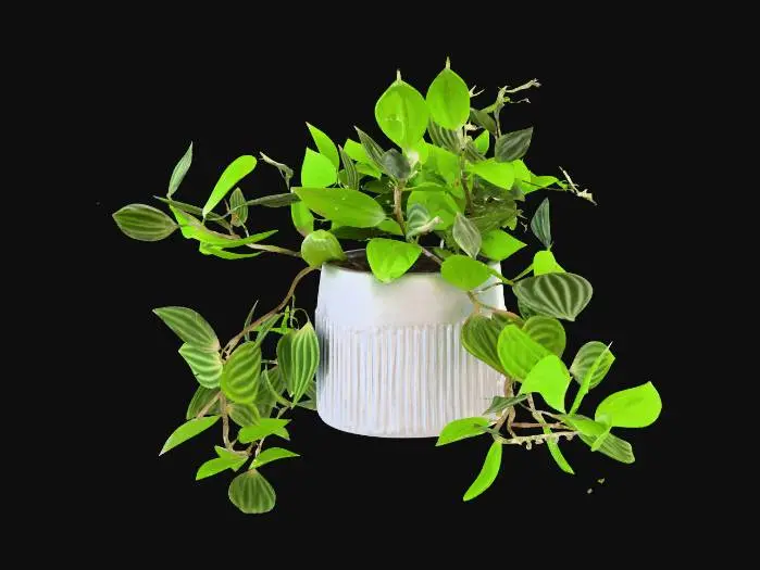 3D model for Verdant Cascade