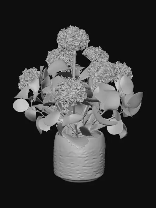 3D model for Hydrangea Elegance