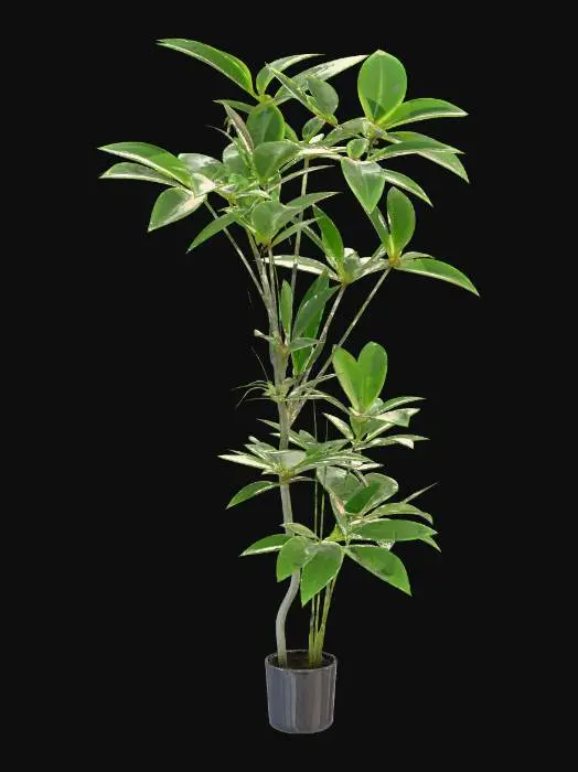 3D model for Green Serenity